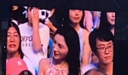 娱乐吃瓜酱演唱会,燃情开唱，狂欢之夜