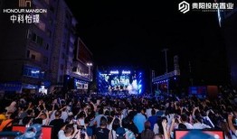 大召音乐节爆料新闻,精彩瞬间与幕后故事大揭秘