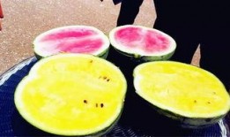 最新的吃瓜爆料,神秘事件背后真相大揭秘！