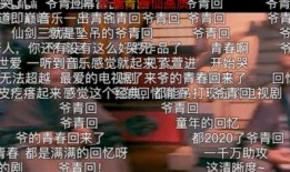 视频号四爷爆料,揭秘娱乐圈幕后真相